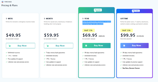 RecoveryFox AI Pricing Options